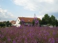 19_am_kreisel.jpg