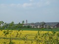 20_rapsfeld.jpg
