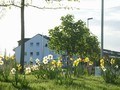 22_kreisel.jpg