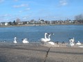 26_am_rhein.jpg