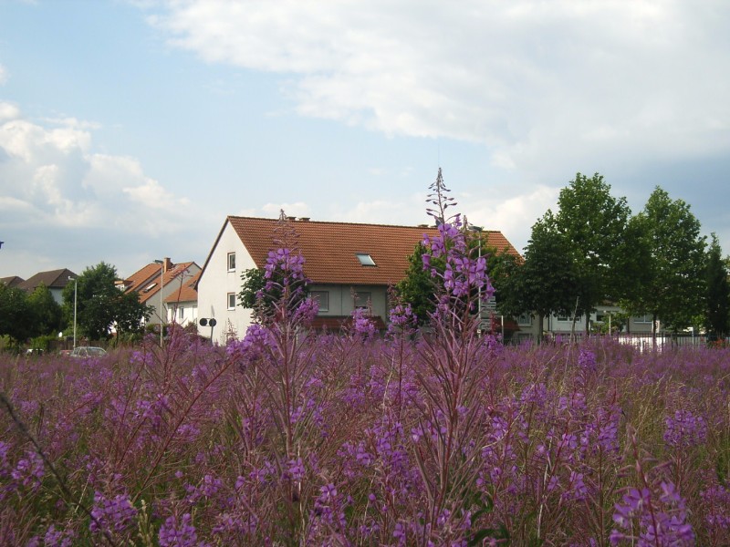 19_am_kreisel.jpg