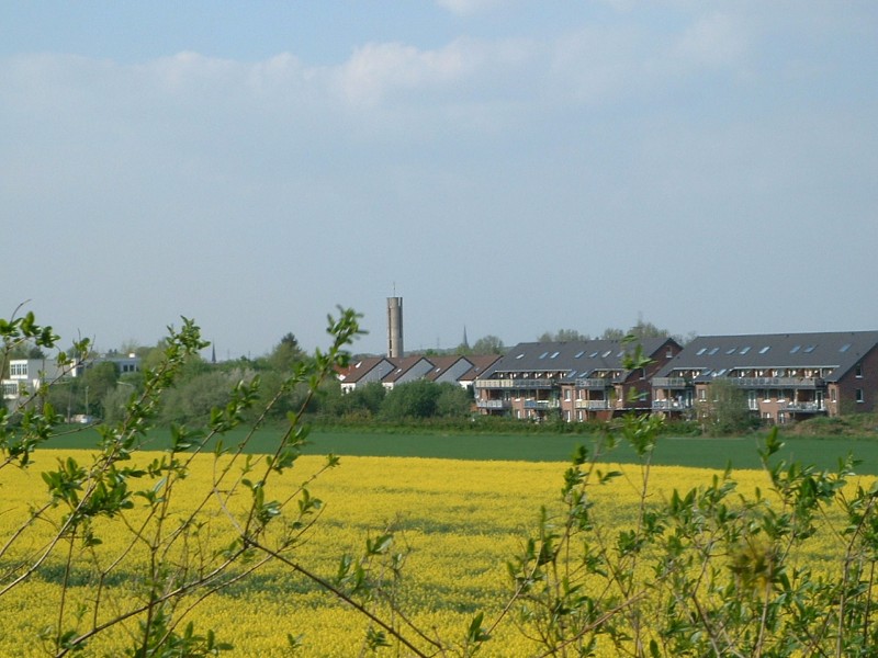 20_rapsfeld.jpg