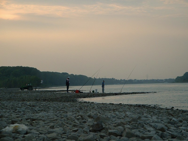 25_am_rhein.jpg